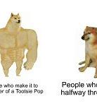 Image result for Doge Pain Meme