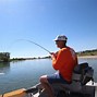 Image result for Colorado River Flathead Fishing