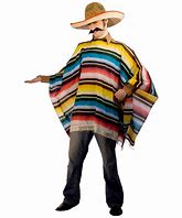 Image result for Serape Sombrero