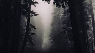 Image result for Gothic Woods Background