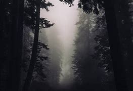 Image result for Dark Gothic Forest Art