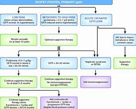 Image result for IgA Nephropathy Medication