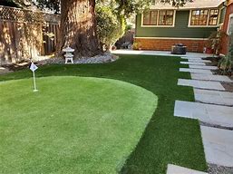 Image result for Putting Greens for Backyards