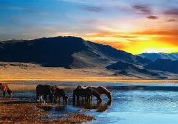 Image result for Wild Horses Desktop Wallpaper