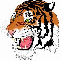 Image result for Tiger SVG Free