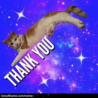 Image result for Thanks for the Update Meme