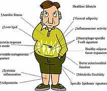 Image result for Healthy Obesity