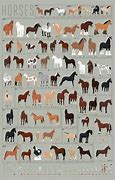 Image result for Horse Valley Breed Chart