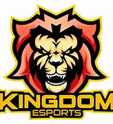 Image result for Big eSports Logo