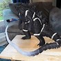 Image result for 3D Print Paint
