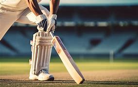 Image result for Cricket Game Field