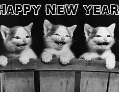 Image result for Funny New Year Wallpaper