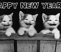 Image result for New Year Humour