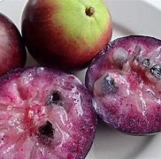 Image result for Apple Like Fruit Purple