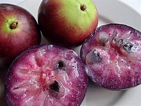 Image result for Purple Star Apple