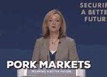 Image result for Liz Truss Cheese GIF