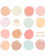 Image result for Pastel Peach Paint