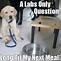 Image result for Lab Dog Meme