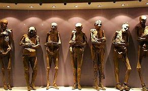 Image result for Mummy Human Guanajuato