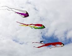 Image result for Kites for Adults