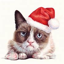 Image result for Grumpy Cat Christmas Cards