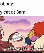 Image result for Gravity Falls Cat Meme