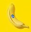 Image result for Gerbil Banana Meme