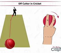 Image result for Best Off Cutter and Leg Cutter Cricket Hand Grip