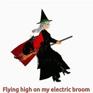 Image result for Witches Broom GIF