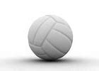 Image result for Volleyball