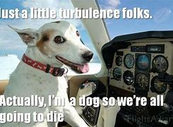 Image result for Powerful Funny Dog Meme Flying