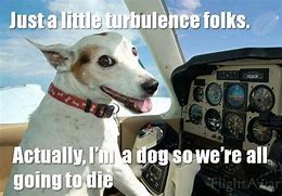 Image result for Dog On Plane Meme