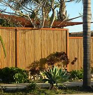 Image result for Bamboo Fencing