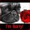 Image result for Images of Sorry I Forgot