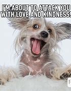 Image result for Kindness Puns