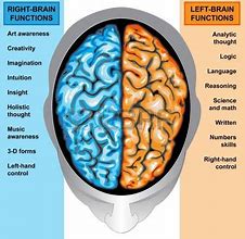 Image result for Memory Types Brain