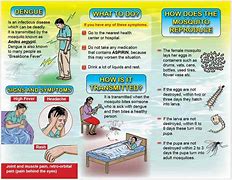 Image result for Dengue Doh