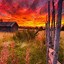 Image result for Country Sunset Aesthetic