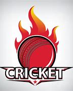 Image result for Cricket 19 Logo