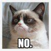 Image result for Grumpy Cat Meme Angry