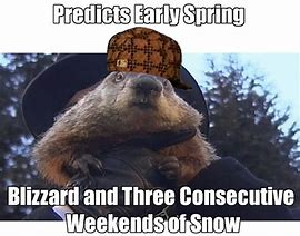 Image result for Happy Groundhog Day Meme