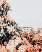 Image result for Aesthetic Cool Background iPhone