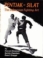 Image result for Indonesian Silat