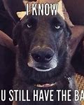 Image result for Dawg Shocked Meme