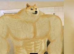 Image result for Ultra Strong Dog Meme