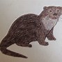 Image result for Otter Face Drawing