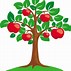 Image result for Apple Tree Jamaica