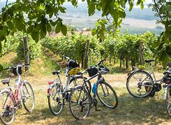 Image result for Bike Tour Europe