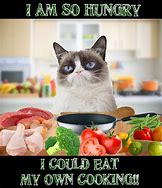 Image result for Starving Cat Meme