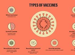 Image result for Different Types Covid Vaccine